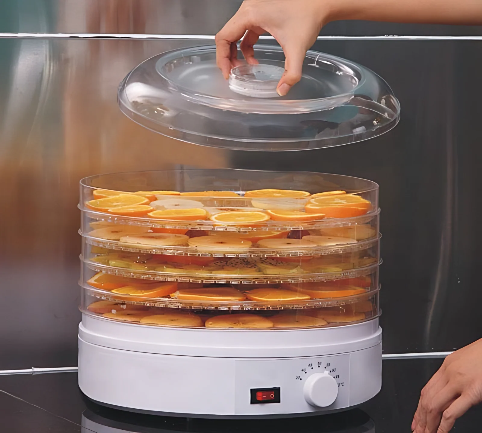 Food Dehydrator — image 2